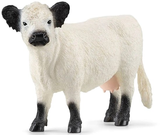 13960 Schleich Galloway Koe 3+ 