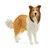 13998 Schleich Collie 3+