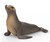 14933 Schleich Zeeleeuw 3+