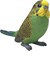 14939 Schleich Grasparkiet Groen/Geel 3+ 