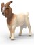 14929 Schleich Boerengeit 3+ 