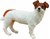 Collecta Jack Russel Terrier 3+ 