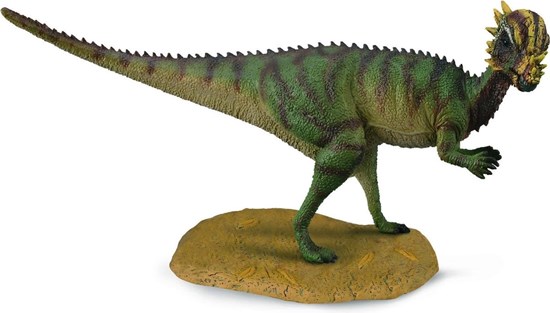 88629 collecta PACHYCEPHALOSAURUS