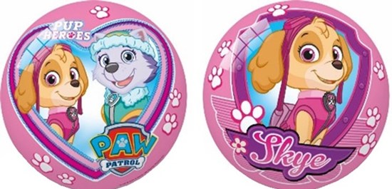 Paw Patrol PUP HEROES Mini Bal Roze  
