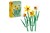 40747 lego Creator Narcissen 8+  