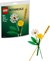 30701 Lego Botanical Veldbloemen 77dlg 9+  