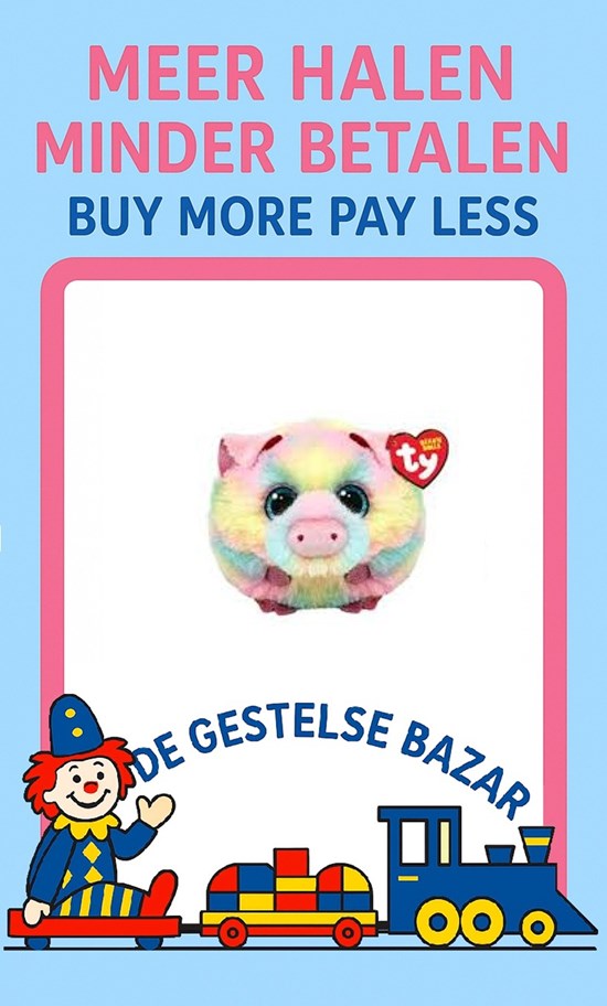 Ty Teeny Puffies Pigasso Pig het Varkentje Colors 10cm  