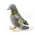 Rappa Eco Friendly  Postduif Grijs/Groen 23cm 0mnd+