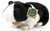 Rappa Eco Friendly Cavia Zwart/Wit 20cm 0mnd+