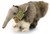 Rappa Eco Friendly Miereneter 25cm  0mnd+