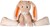 Happy Horse Konijn Twine Knuffel 42cm Beige Baby knuffel 