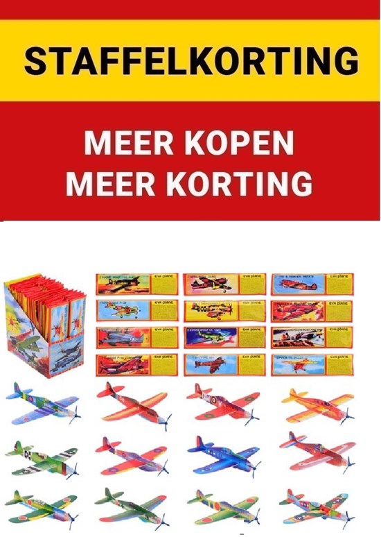 EVA Werp Vliegtuigje assorti 