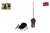 Jungle Expedition RC Creepy Spin assorti 12cm ( 2xAA & 2xAAA)