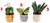 take Me Home Pluche Plant circa 12-17cm Assorti  Modellen 