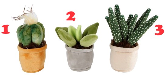 take Me Home Pluche Plant circa 12-17cm Assorti  Modellen 