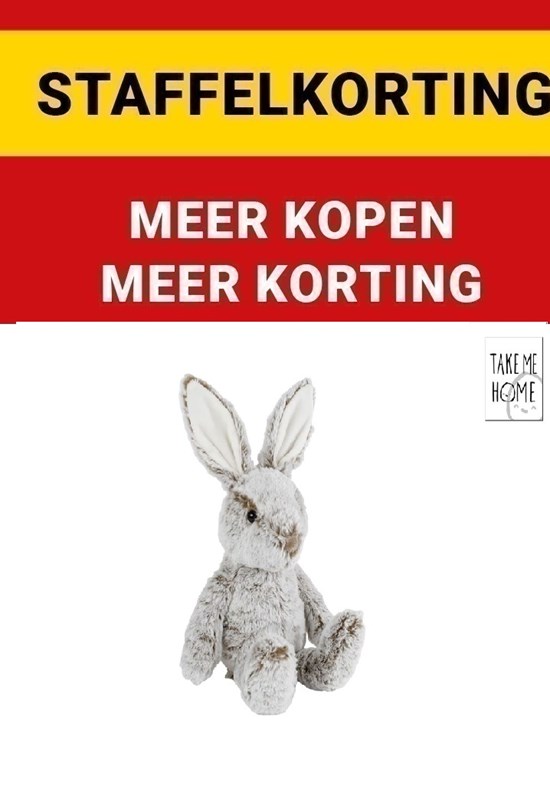 Take me Home Konijn circa 43cm 