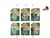 Dinoworld Bijtende Dinosaurus Sleutelhanger 12cm assorti 