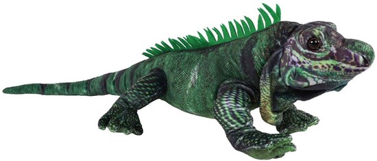 Jungle Expedition Pluche Leguaan circa 50cm