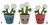 Take Me Home Plant Pluche Paardenbloem 3assorti circa 23cm 