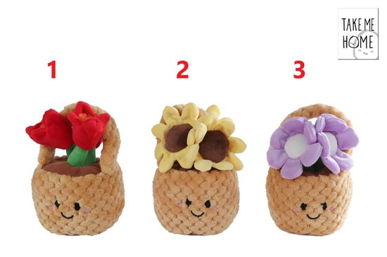 Take Me Home Plant Pluche Bloemenmand 3assorti circa 18cm