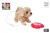 Take Me Home Loophond Golden Retriever aan Riem B/O 