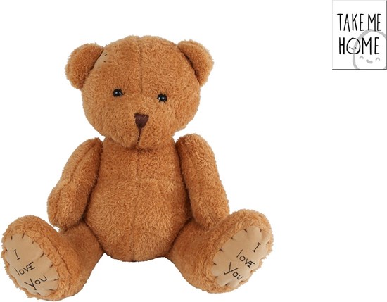 Take Me Home Pluche Beer Zittend circa 25cm 
