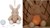 Little Dutch Knuffelkonijn Licht en Geluid 0mnd+ 