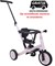 topmark LIO Driewieler met Duwstang 4in1  Lila Color tot 25kg 12mnd+  