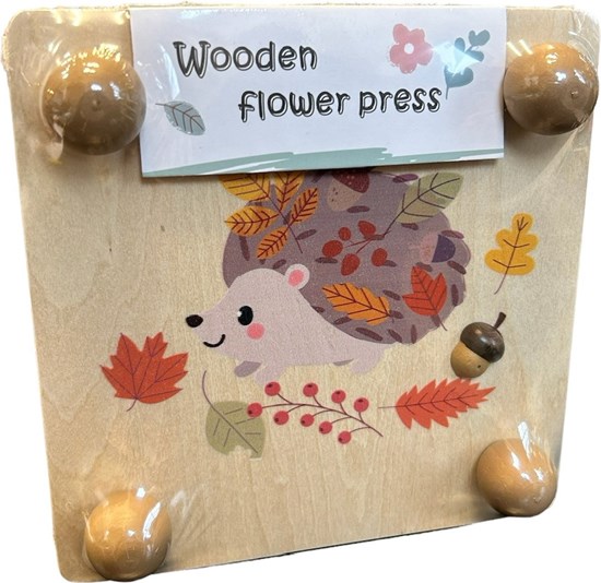 Simply for Kids Houten Bloemenpers Egel 3+ 