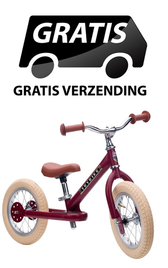 the Original Trybike Metaal 2 Wiel Matt Rood 15mnd+ / 6 jaar 