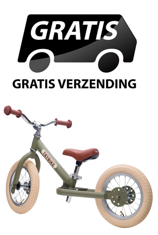 the Original Trybike Metaal 2 Wiel Matt Groen 15mnd+ / 6 jaar 