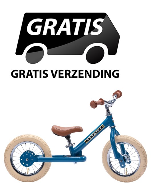 the Original Trybike Metaal 2 Wiel Matt Blauw 15mnd+ / 6 jaar 