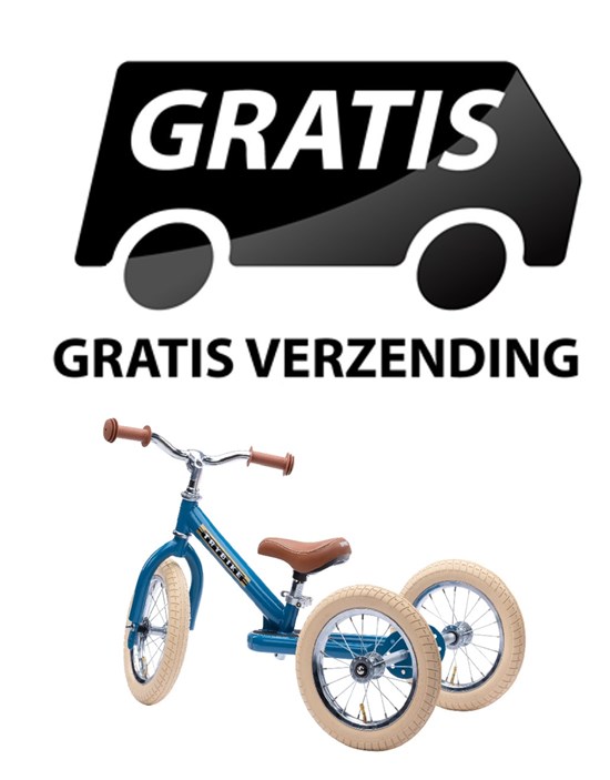 the Original Trybike Metaal 3 Wiel Matt Blauw  15mnd+ / 6 jaar 