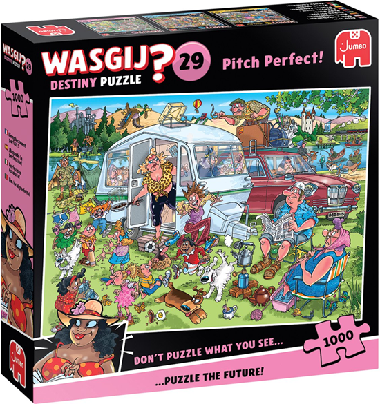 Wasgij 29 Destiny Puzzel Op de Camping 1000stukjes 