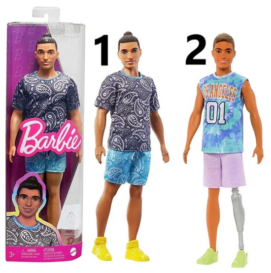 barbie KEN Jongenspop Fashionistas assorti 