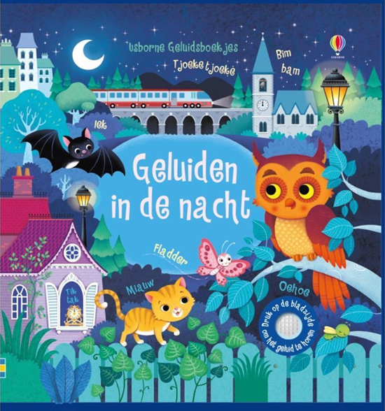 usborne Geluidenboek Karton in de Nacht 1+ 