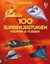 usborne 100 Supervliegtuigen vouwen & vliegen