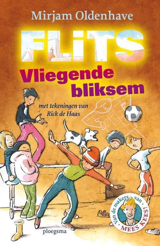 boek Flits Vliegende Bliksem 