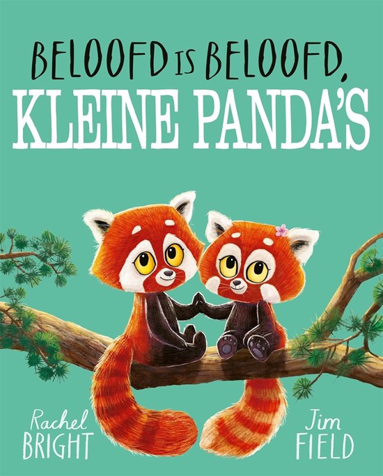 gottmer boek Beloofd is Beloofd Kleine Panda's 