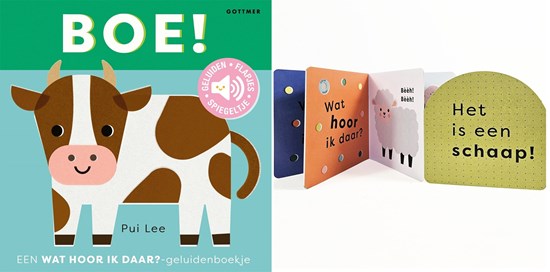 gottmer Geluidenboek Karton BOE ! 