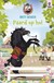 kosmos Britt Dekker Paard op Hol 7+