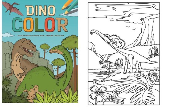 deltas Dino Color GROOT kleurboek 