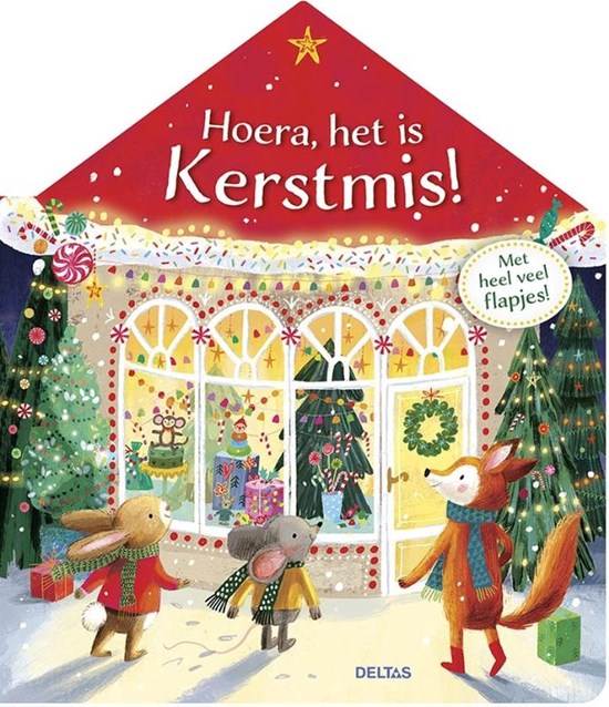 deltas Hoera Het is Kerstmis! kartonboek 