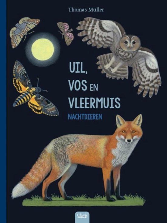 clavis Uil , Vos en Vleermuis Nachtdieren Prentenboek