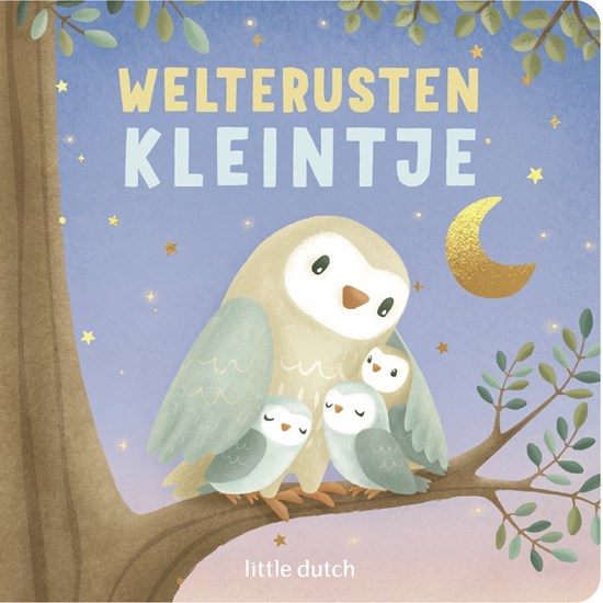 Little Dutch Welterusten Kleintje boek 