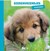 de Ballon Kartonboek Dierenvriendjes Huisdieren 12mnd+