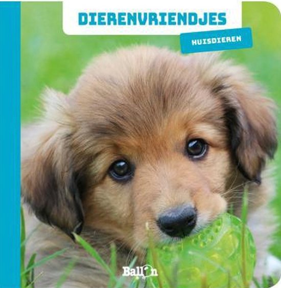 de Ballon Kartonboek Dierenvriendjes Huisdieren 12mnd+
