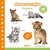 de Ballon Karton Geluidenboek Allereerstestapjes Babydieren 1+ 