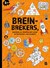 de Ballon Breinbrekers Puzzels en Doolhoven 8+ 