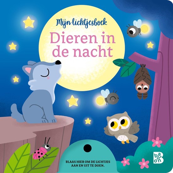 de Ballon Karton Mijn Lichtjesboek Dieren in de Nacht 2+